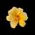 kassandraseven.bsky.social's avatar