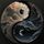 rainsong9.bsky.social's avatar