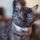 teresalouise.bsky.social's avatar