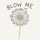 gotjane.bsky.social's avatar