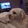 millarly.bsky.social's avatar