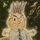 pbump.com's avatar