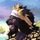 matcharyu.bsky.social's avatar