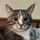 cat1andcat2.bsky.social's avatar