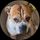 gattllc.com's avatar