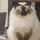 yodamonkey2.bsky.social's avatar
