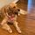 courtneyseward1.bsky.social's avatar