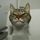 acataday.bsky.social's avatar