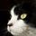 ccgrl33.bsky.social's avatar