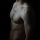 The Nude Neighbor