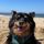 official amy brown updates