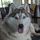 staci22.bsky.social's avatar