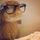 Brosephine Wires, Internet Bunny