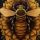 TheBionicBee 🐝