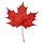 Canadian Resistance 🇨🇦