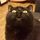 guinnessisacat.bsky.social's avatar