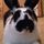 casloafy.bsky.social's avatar