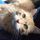 gobycat10.bsky.social's avatar