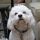 gdad1x7.bsky.social's avatar