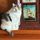 stossel.bsky.social's avatar