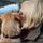 carlyja22.bsky.social's avatar