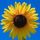 ladydager.bsky.social's avatar