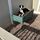 Logicaldog