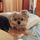 allmykidshavepaws.bsky.social's avatar