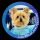 603Lola 🐶🗳️💙🏳️‍🌈🏳️‍⚧️👠🙋🏻👩🏻‍⚖️