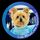 603Lola 🐶🗳️💙🏳️‍🌈🏳️‍⚧️👠🙋🏻👩🏻‍⚖️