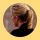 Kim Wexler's Ponytail 🐝💛🎗