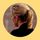 Kim Wexler's Ponytail 🐝💛🎗