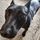 wolfie63.bsky.social's avatar