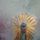 cherokeewarrior.bsky.social's avatar