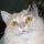 alliegata.bsky.social's avatar