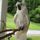 wendyweidman.bsky.social's avatar