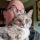 John Scalzi