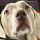 annstrussell.bsky.social's avatar