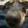 buzzard123.bsky.social's avatar