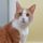 parkinkatt.bsky.social's avatar