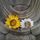 mxjayess.bsky.social's avatar