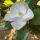 lindylou425.bsky.social's avatar