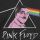 Mr. Pink Floyd Larson
