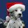 lexximagic.bsky.social's avatar