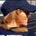 thedesertginger.bsky.social's avatar