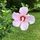 rae14.bsky.social's avatar