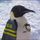 crazieone2750.bsky.social's avatar