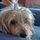 knewton55.bsky.social's avatar