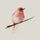 twinsfan81.bsky.social's avatar
