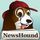 Newshound411